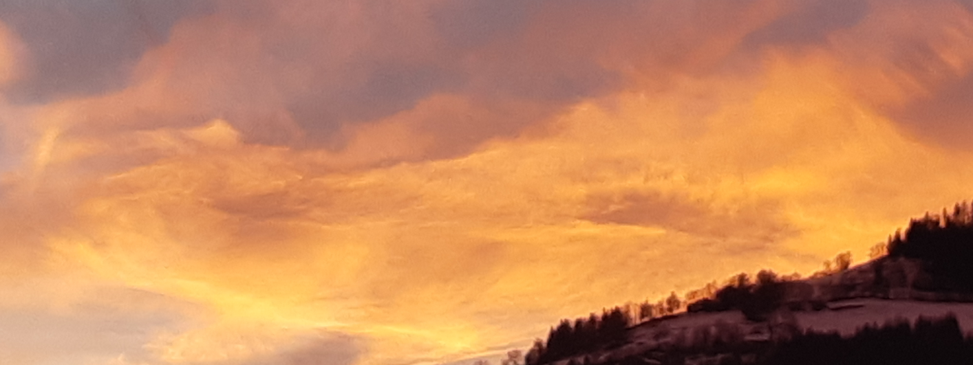 Header Image