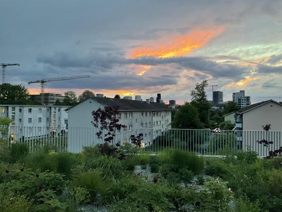 View of the Saatlen and Leutschenbach neighborhoods from the Ueberlandpark.